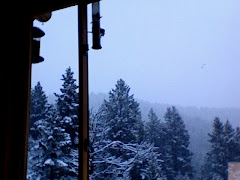 Room with a View