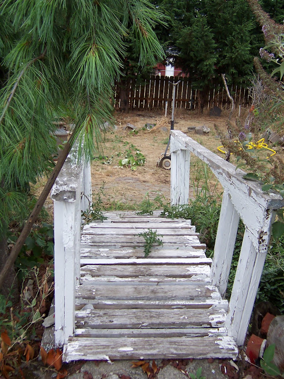 pond bridge