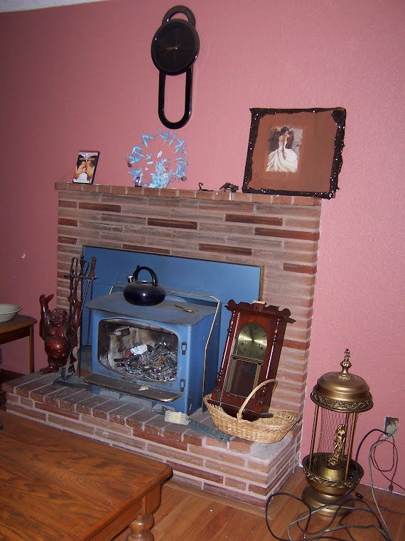 wood stove