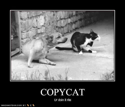 copycat.jpg
