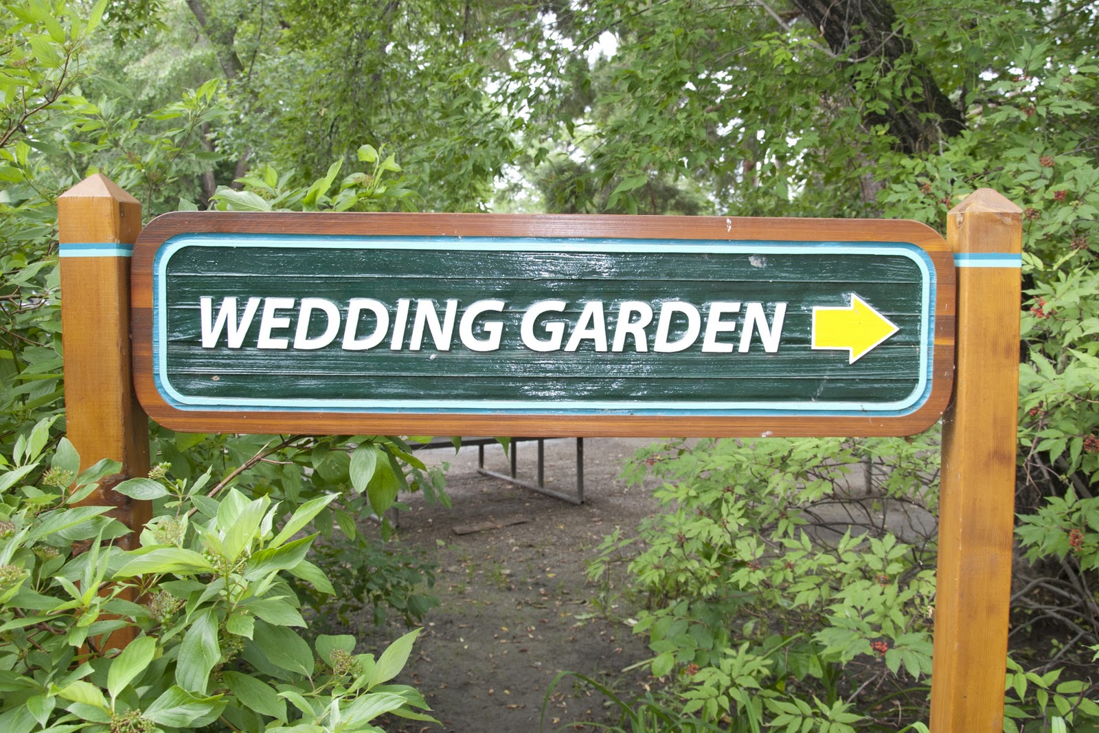 Saskatoon Photographer Juli Labrecque Wedding Saskatoon Wedding Photographer Forestry Farm A Great Way To Start Off Any Day Little Mimosa