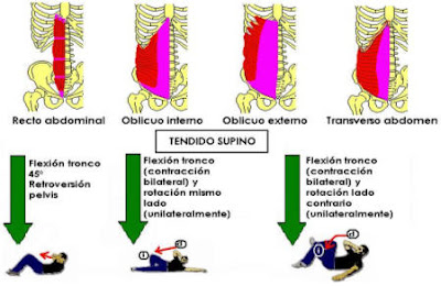 como hacer abdominales