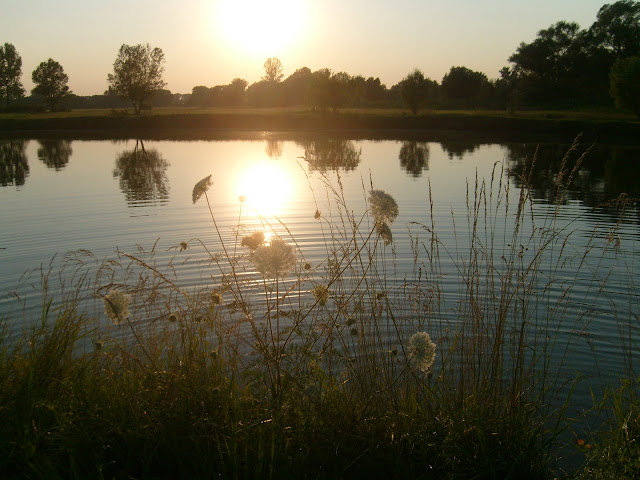 S7308220.JPG