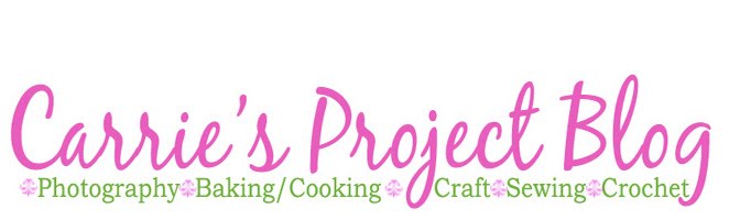 Carrie's Project Log