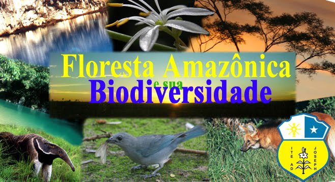 Floresta Amazônica e sua Biodiversidade
