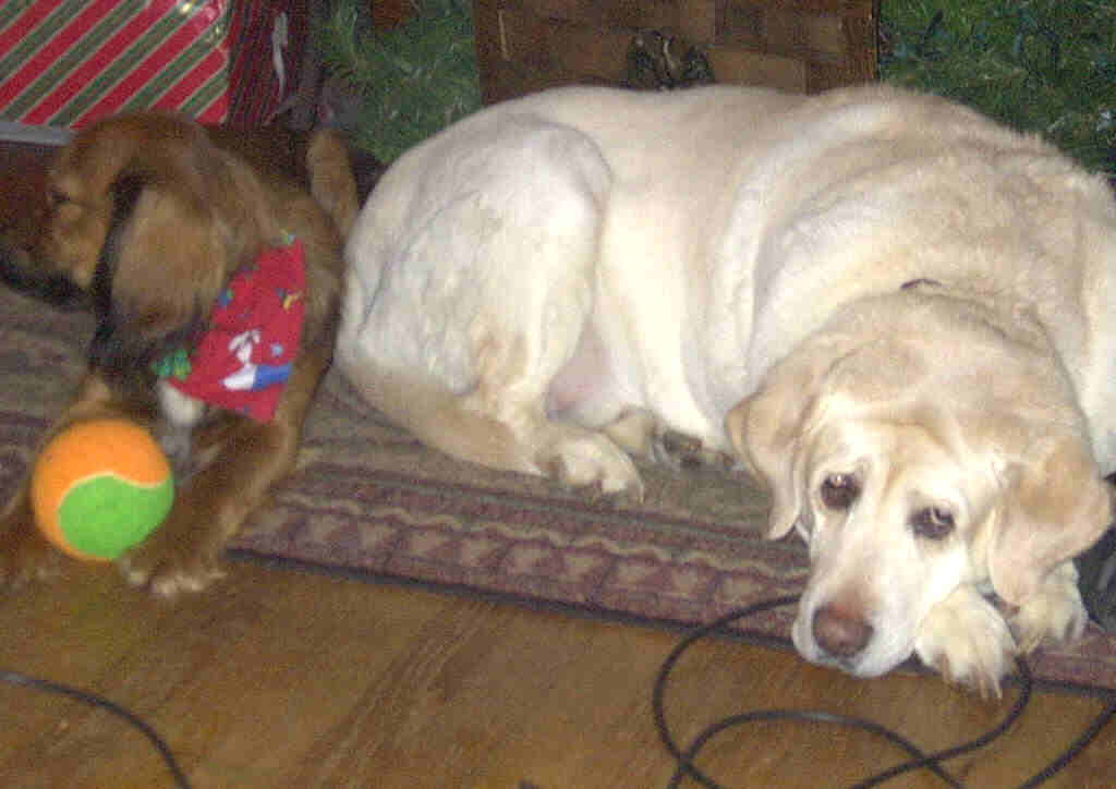 [Kelly+and+Hudson.jpg]