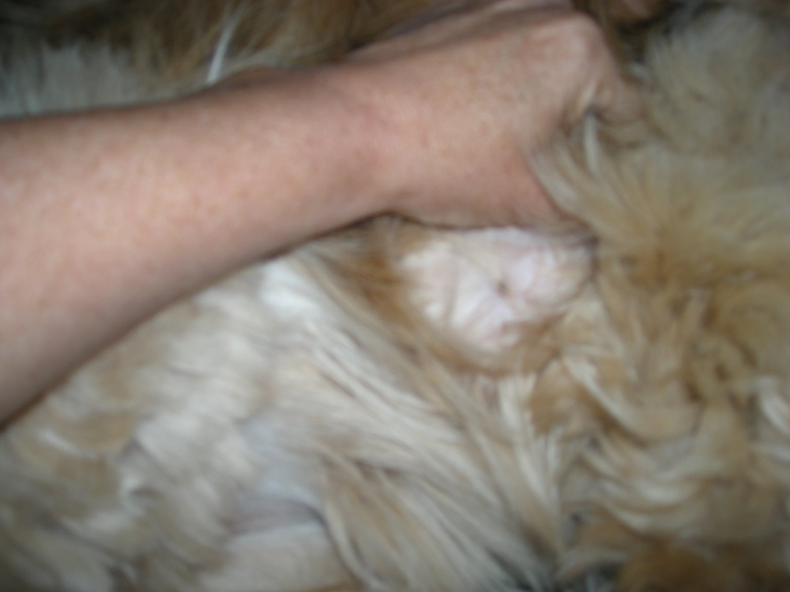 [DSCN2883.JPG]