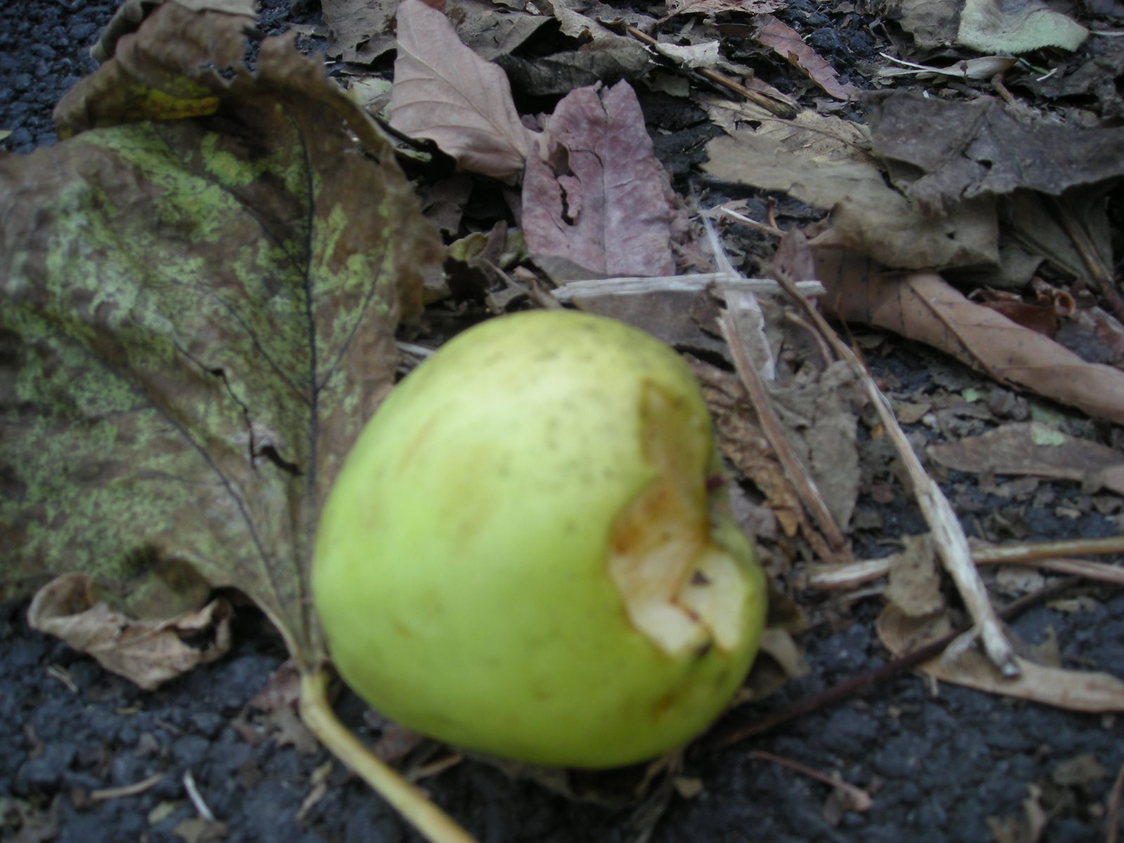 [DSCN3034.JPG]