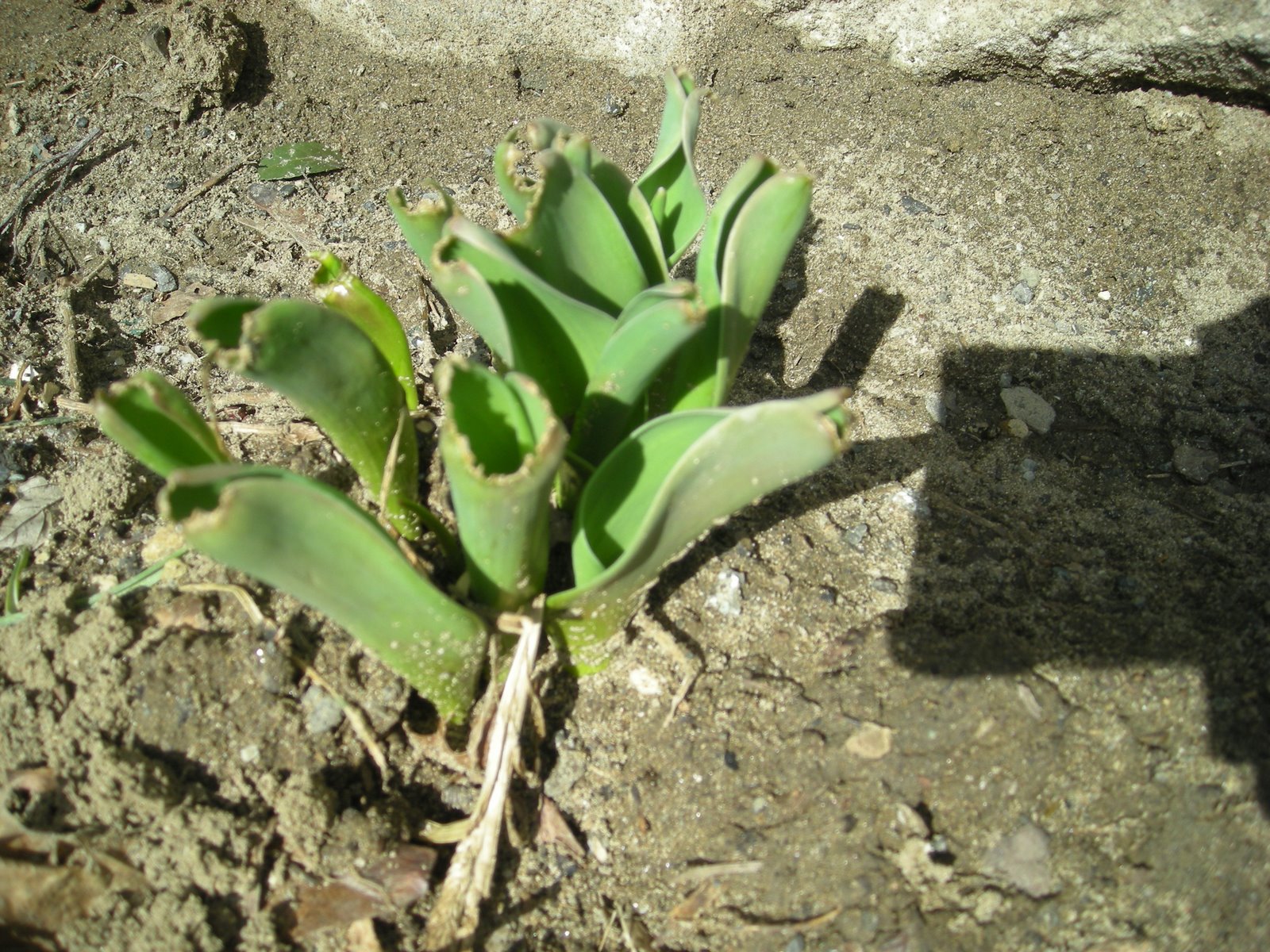 [DSCN3618.JPG]