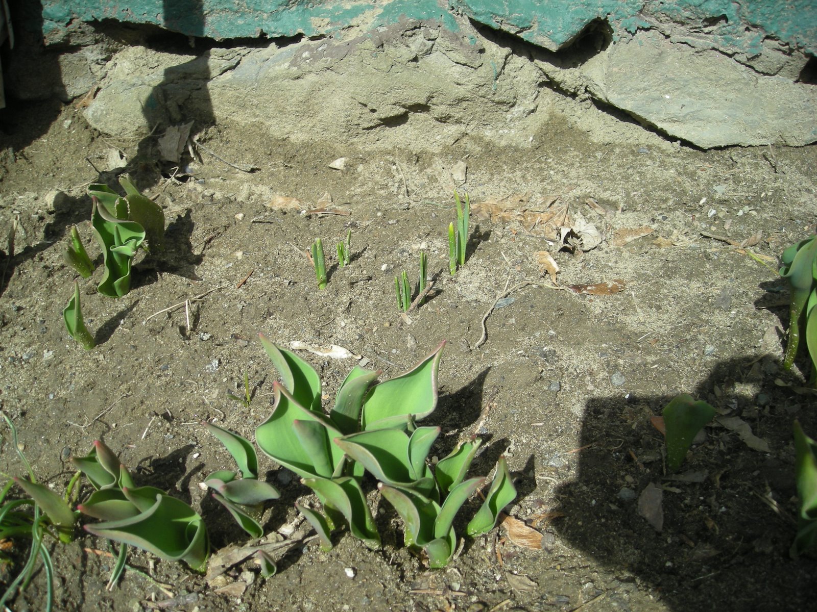 [DSCN3612.JPG]