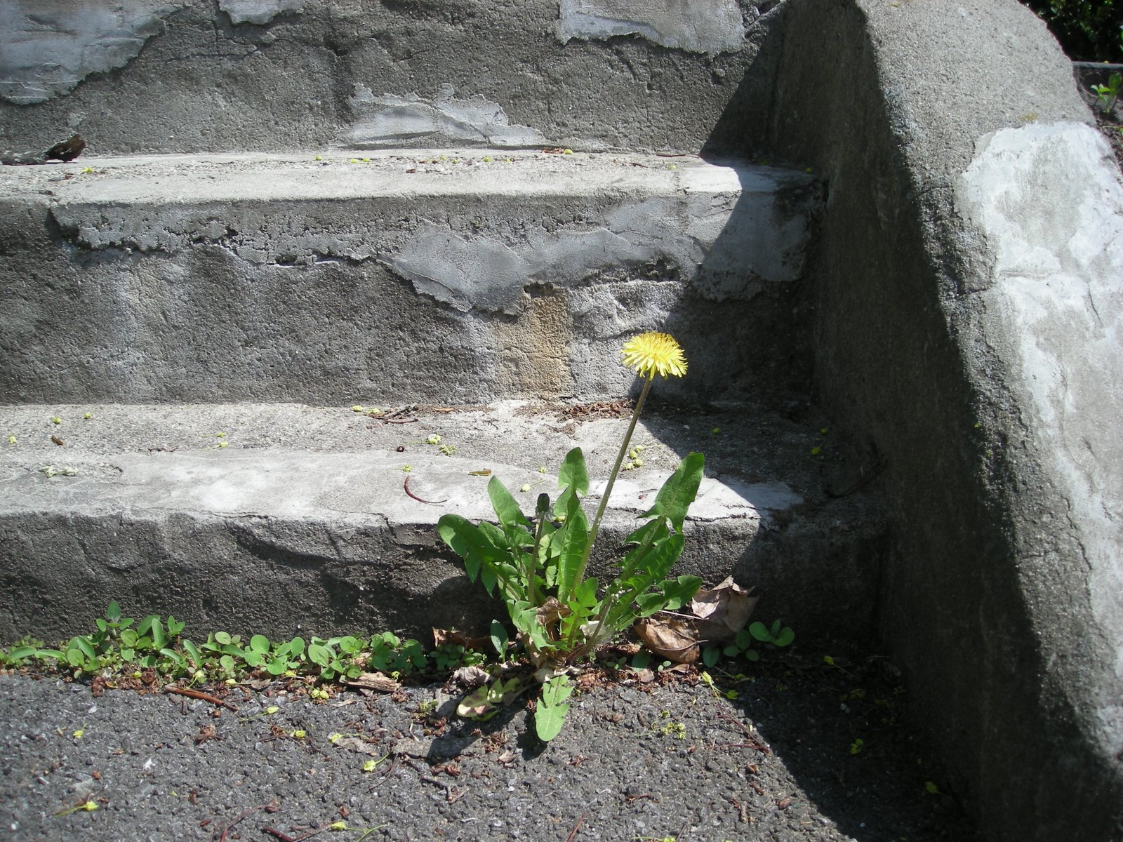[DSCN3884.JPG]