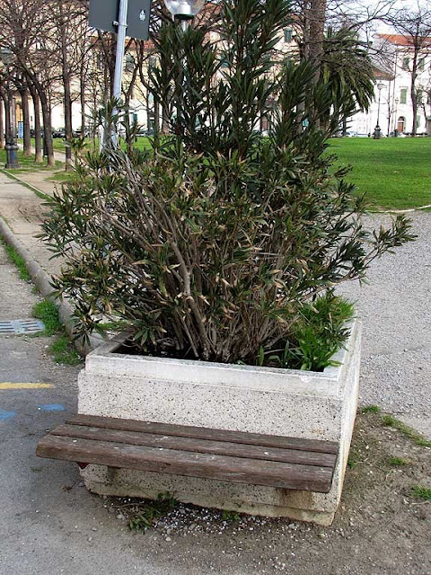 Stub of a bench, piazza della Vittoria, Livorno