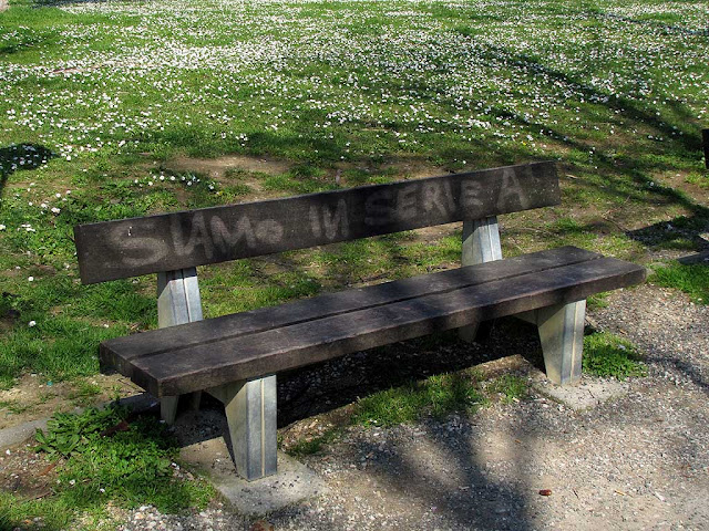 Bench with daisies in background, We're in First Divison, Livorno