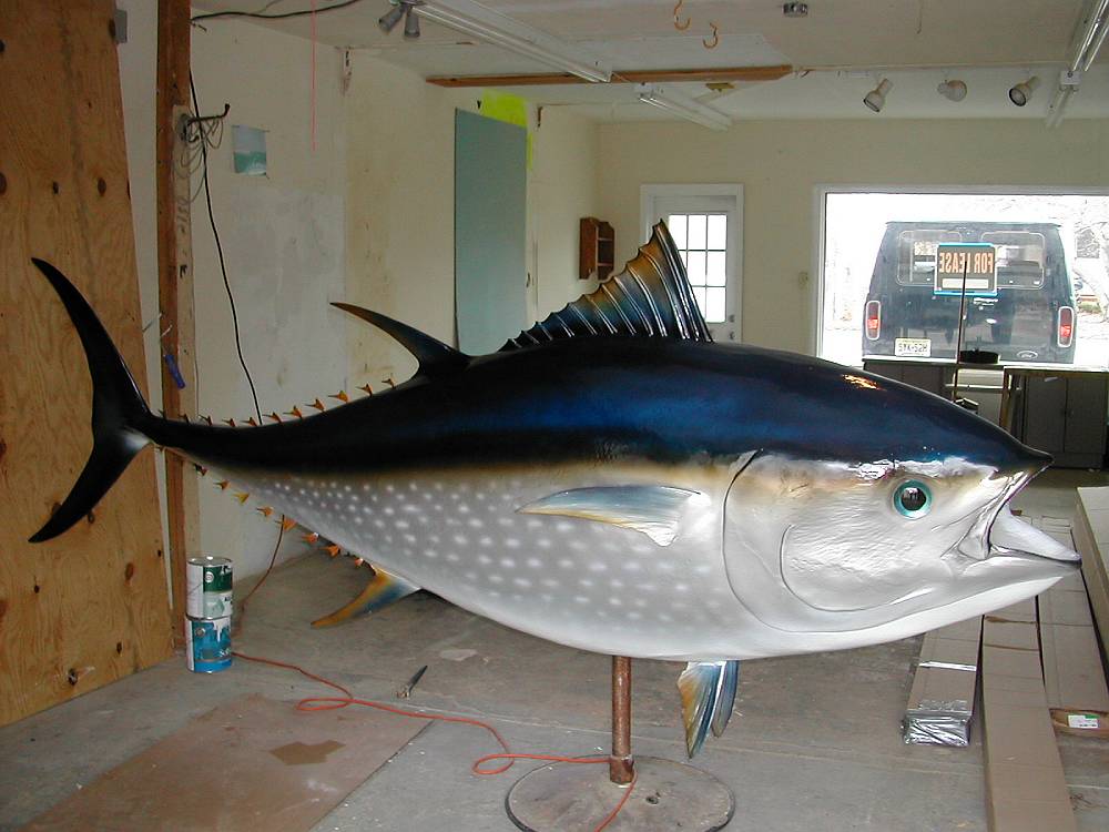 [tuna.jpg]