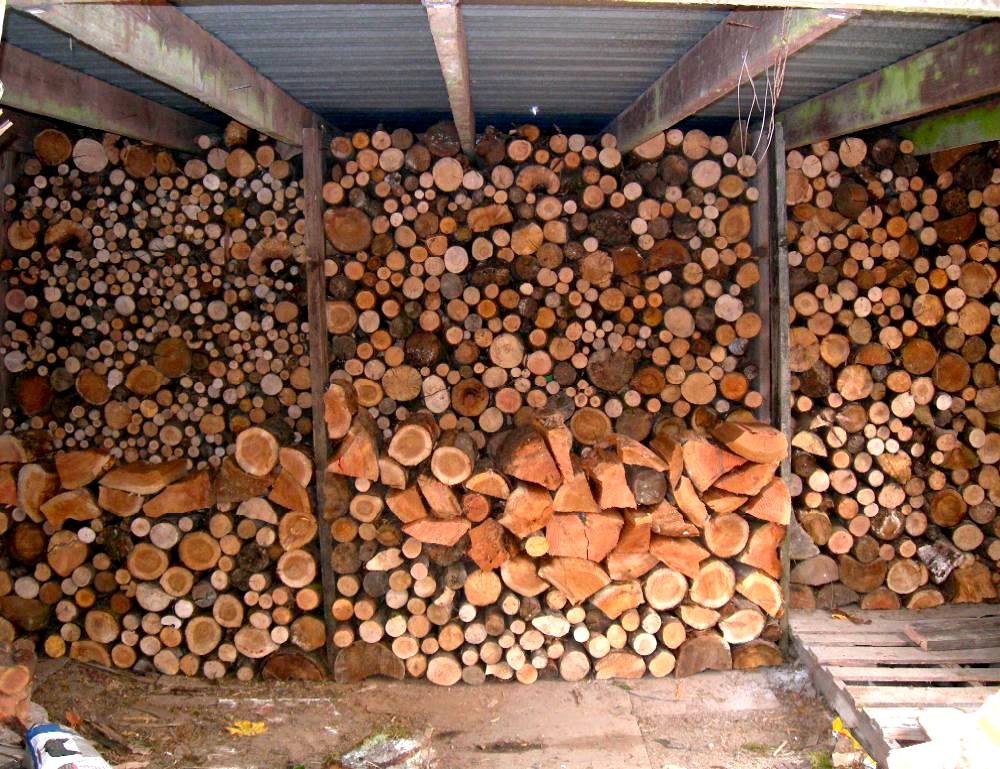 [firewood+stack.JPG]
