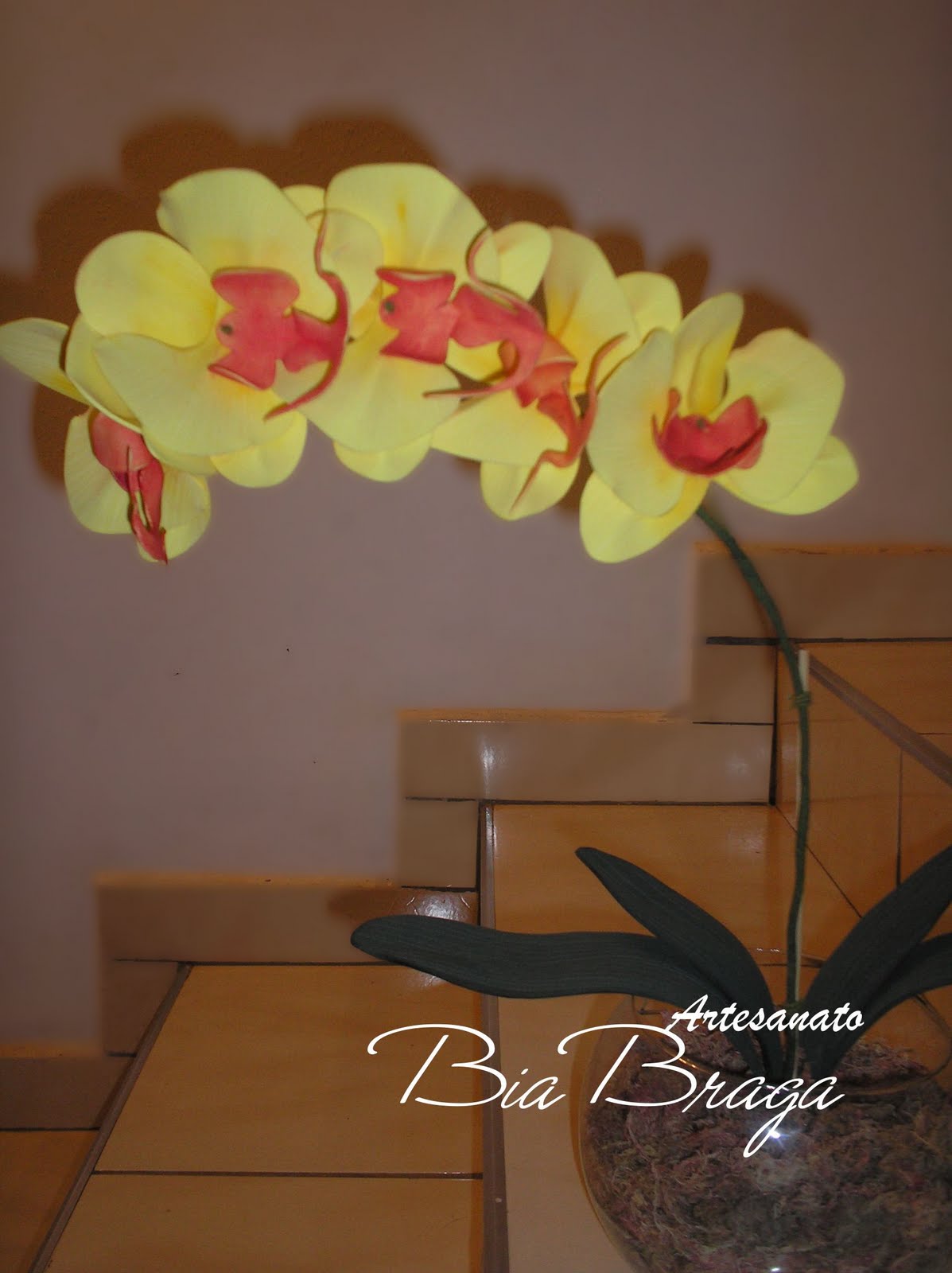 Bia Braga: Orquídea Phalaenopsis Amarela de E.V.A.