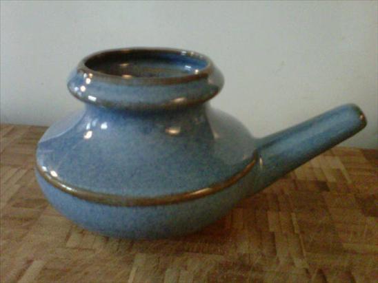 [neti+pot.jpg]