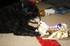 Christmas 2009