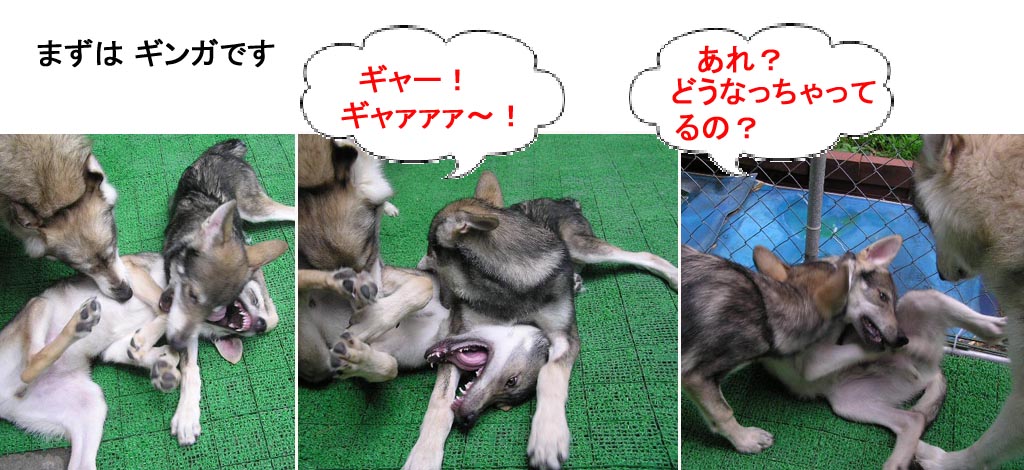 [6_26_1.jpg]