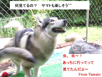 √完了しました！ 微笑ましい画像 240057-微笑ましい画像