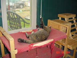 Tid Bit (Miss you too)