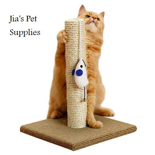 All about Jia's Pets n Pet supplies