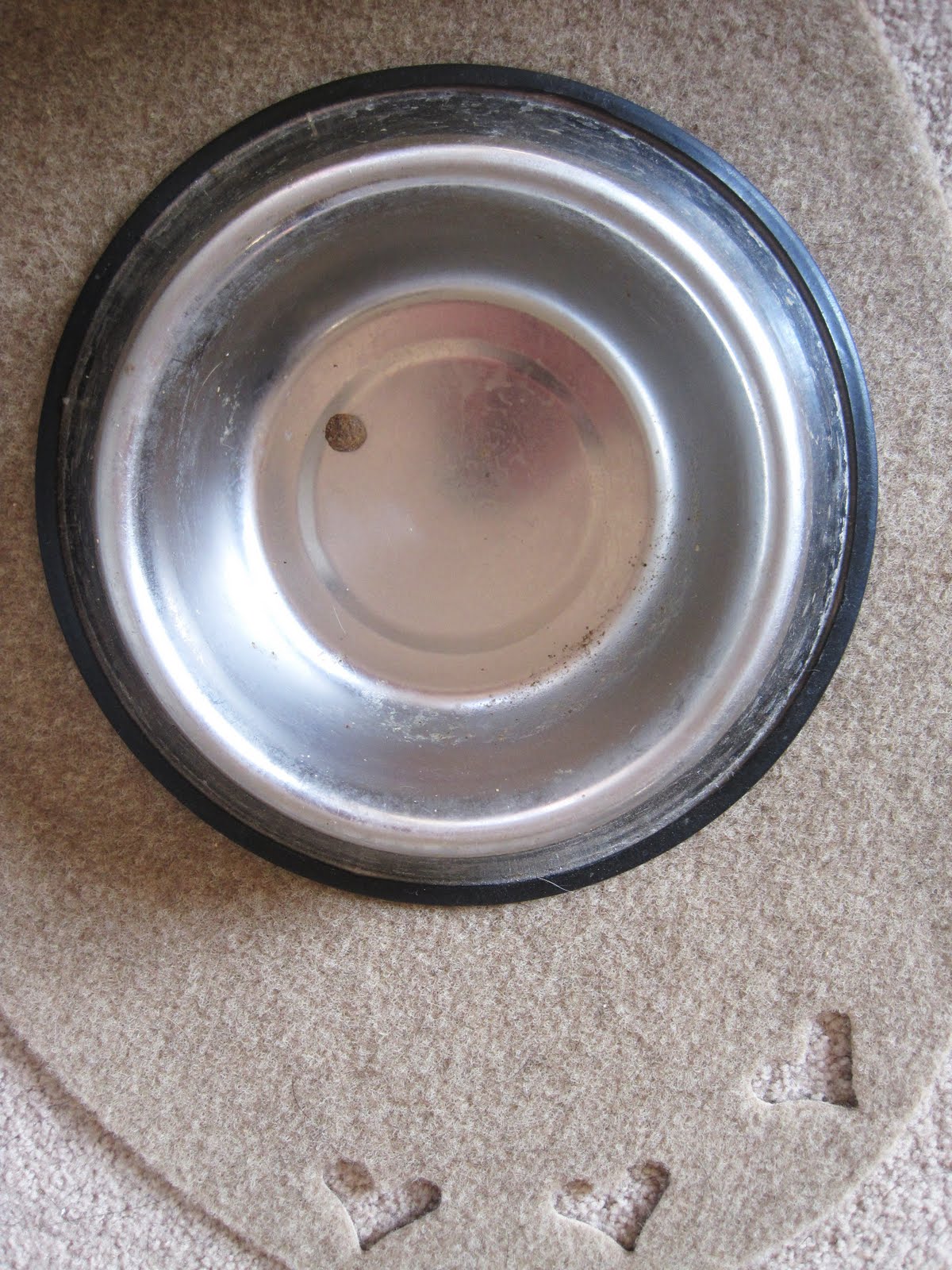[bowl.JPG]