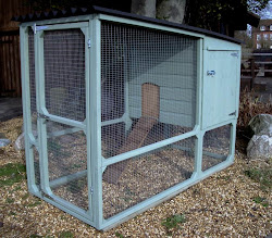 coop building alaskan chickens