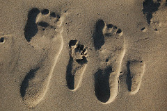 Footprints