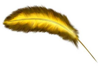EL AULA DE LA NATURALEZA EN INFANTIL: LA PLUMA MAGICA