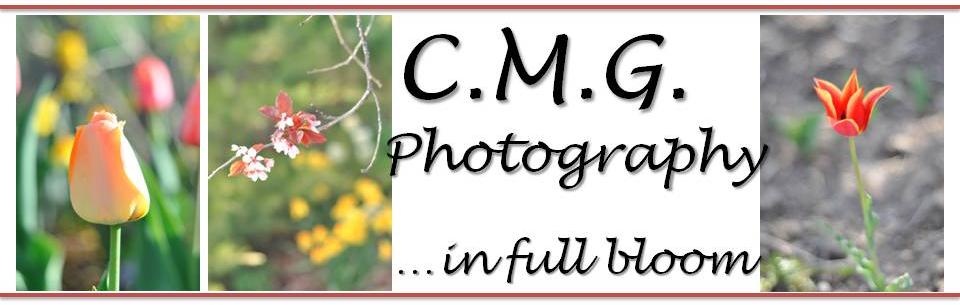 CMG Photography