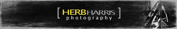 Herb Harris photography