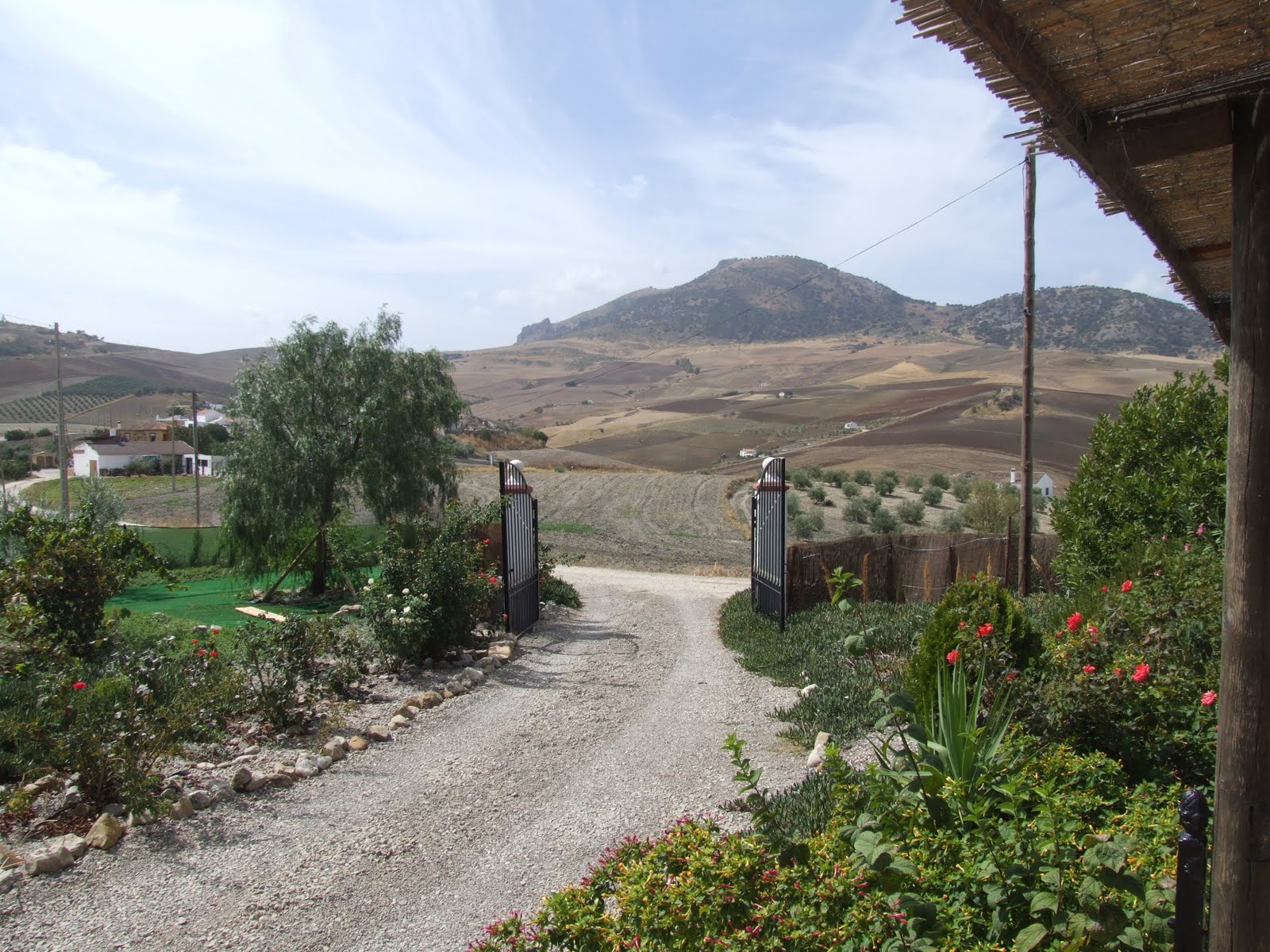 Olvera diary: The road to El Rodeo