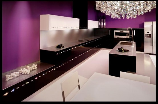 [luxury-kitchen-decorated-by-swarovski-crystals-4-554x364.jpg]