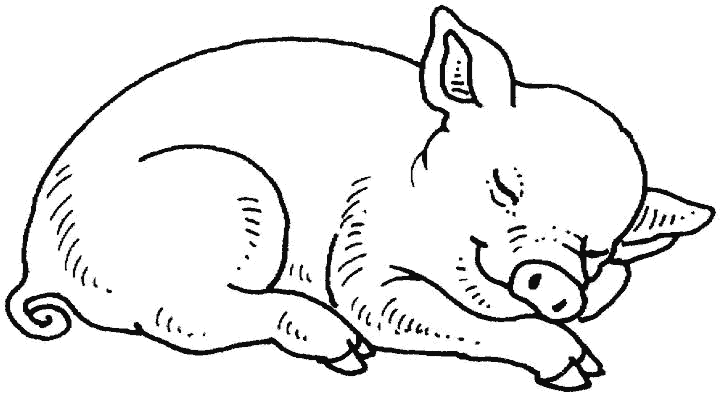 Chancho Para Colorear ARTE DIBUJOS FOTOS IMAGENES FOTOS DEL CHANCHO