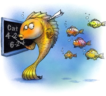 [schoolofish_color.jpg]