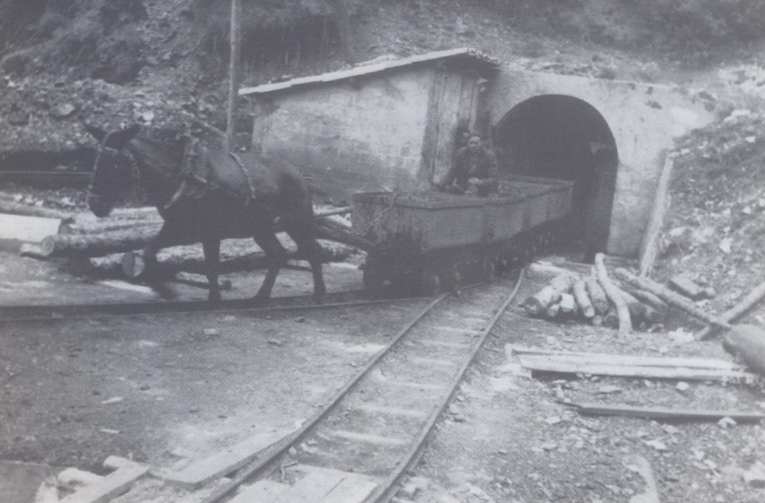rails i ferradures Tracción animal en las minas.