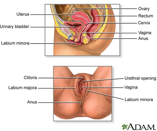 Best of All internal sperm Sex photo Suck older boys cock