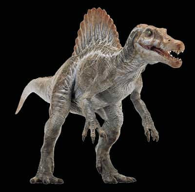 spinosaurus.JPG