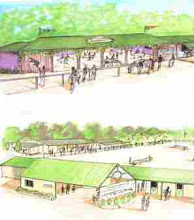 EVENTS at The Bush Courtyard
