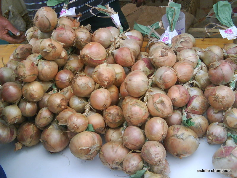 Looking for Johnny Onions Onion Festival Roscoff, August 2010