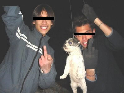 [CÃO.jpg]
