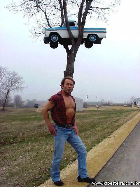 [carro-arvore-fail.jpg]