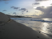 Gosto de ver o mar. Gosto da cor que brota das suas águas;