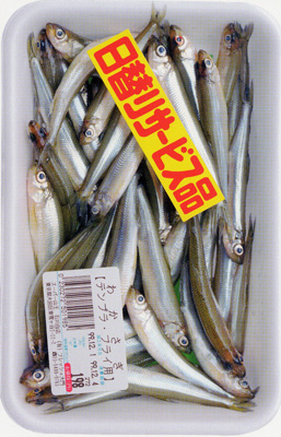 [Tokyo-fish.JPG]