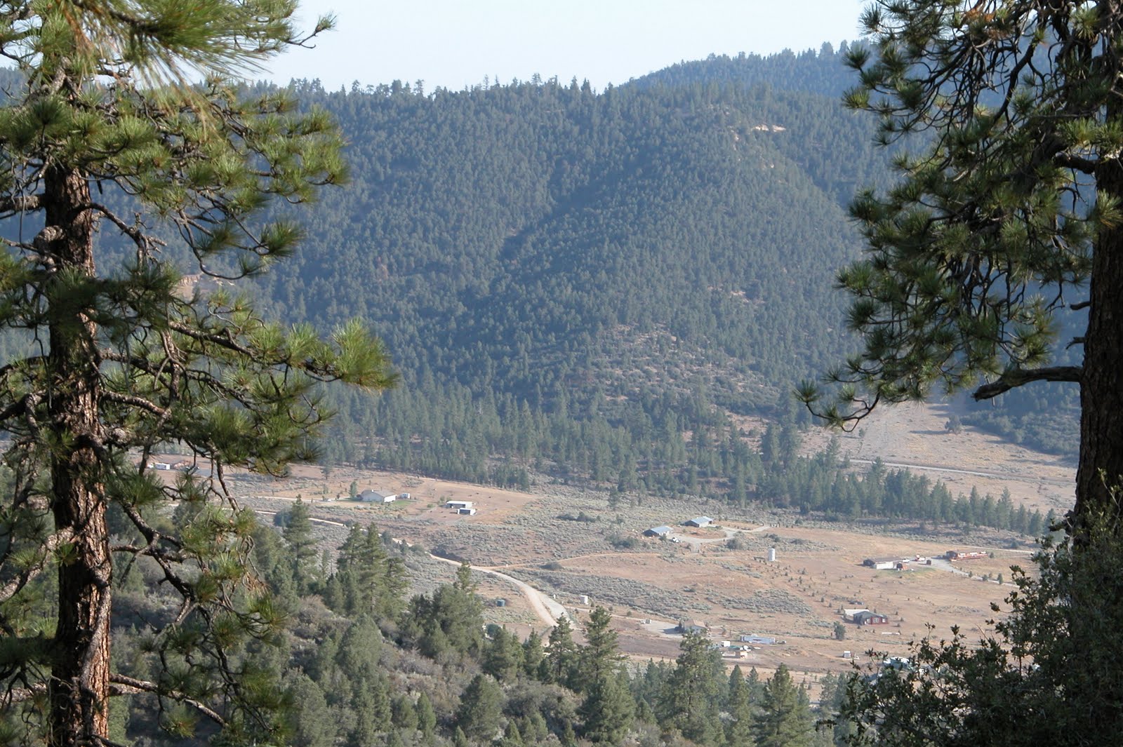 Pine Mountain Review