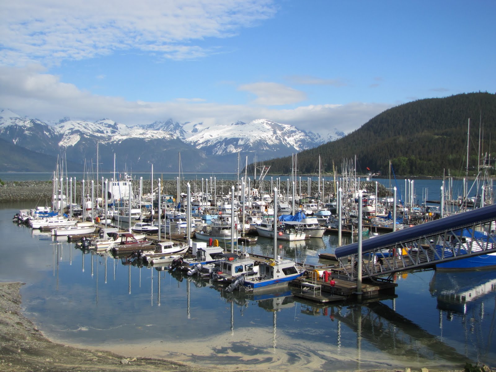 SUMMER CAMP HAINES ALASKA 2010 HAINES HARBOR