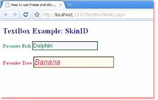 How to use Theme and SkinID in asp.net TextBox