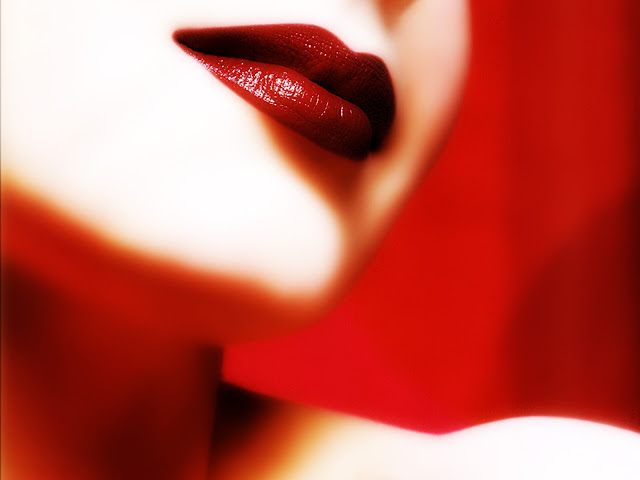 lipstick cosmetics lakme mac elf shades images
