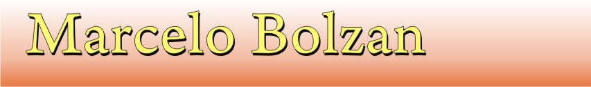 Marcelo Bolzan